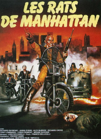 Regarder Les Rats de Manhattan en streaming complet