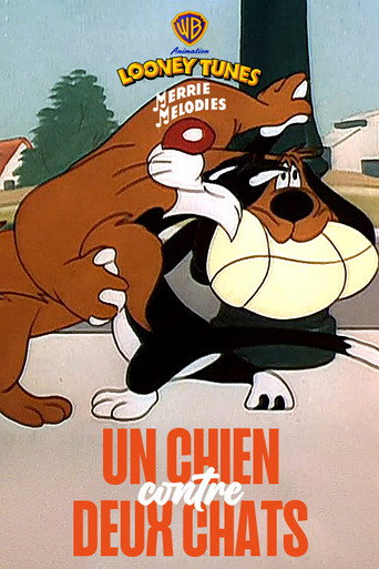 Regarder Un chien contre deux chats en streaming complet