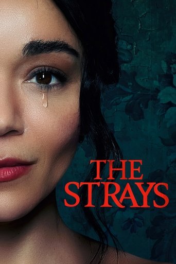 Regarder The Strays en streaming complet