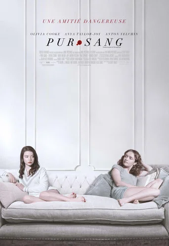 Regarder Pur-sang en streaming complet