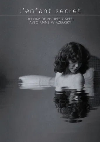 Regarder L'Enfant Secret en streaming complet