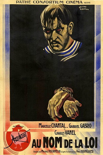 Regarder Au nom de la loi en streaming complet