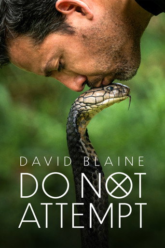 Regarder David Blaine: Do Not Attempt en streaming complet