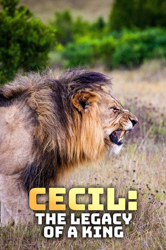 Regarder Un lion né pour régner en streaming complet