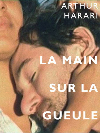 Regarder La main sur la gueule en streaming complet