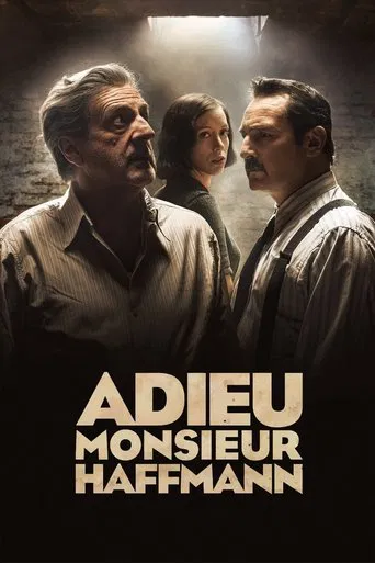 Regarder Adieu monsieur Haffmann en streaming complet