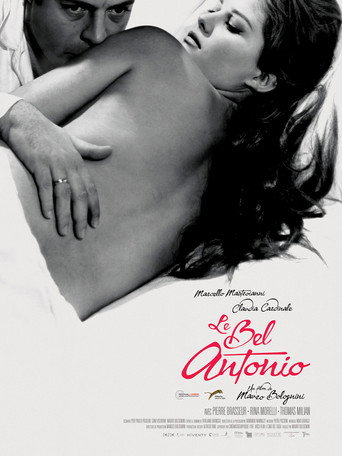 Regarder Le Bel Antonio en streaming complet