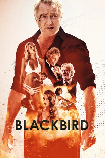 Regarder Blackbird en streaming complet