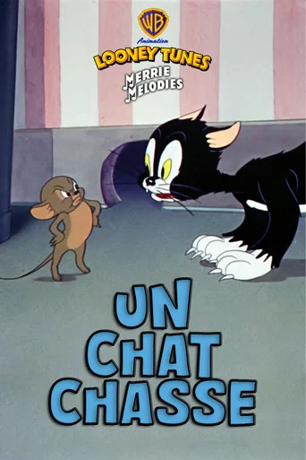 Regarder Un chat chasse en streaming complet