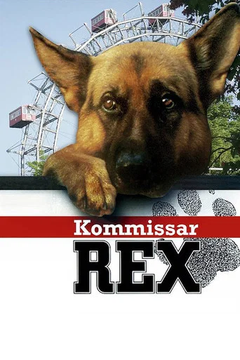 Regarder Rex, Chien flic - Saison 12 en streaming complet
