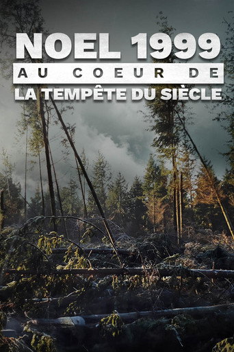 Regarder Noël 1999 : Au coeur de la tempête du siècle en streaming complet