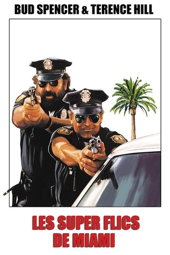 Regarder Les Super-flics de Miami en streaming complet