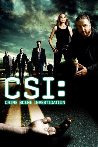Regarder Les Experts en streaming complet