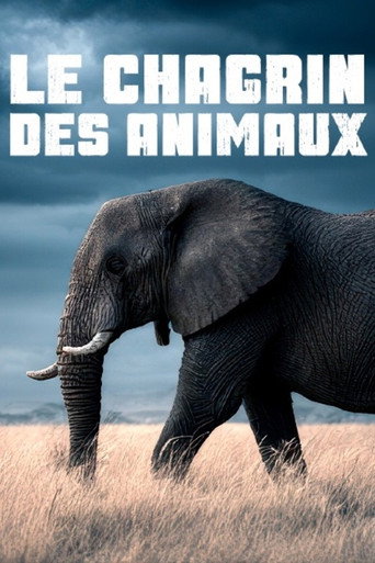 Regarder Le chagrin des animaux : mythe ou réalité ? en streaming complet