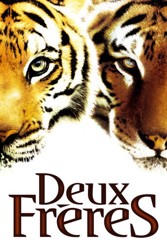 Regarder Deux Frères en streaming complet