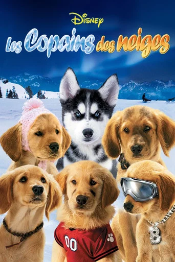Regarder Les Copains des neiges en streaming complet