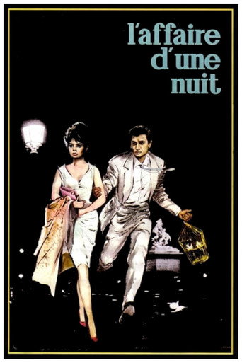 Regarder L'Affaire d'une nuit en streaming complet