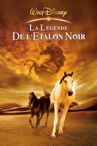 Regarder La légende de l'étalon noir en streaming complet