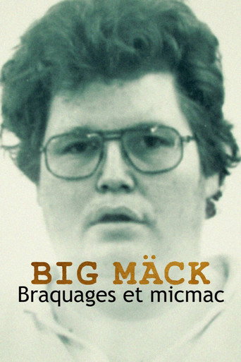 Regarder Big Mäck : Braquages et micmac en streaming complet