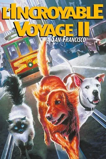 Regarder L'Incroyable Voyage 2 - À San Francisco en streaming complet