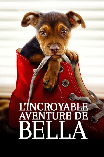 Regarder L'Incroyable Aventure de Bella en streaming complet