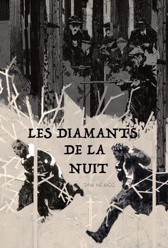 Regarder Les Diamants de la Nuit en streaming complet