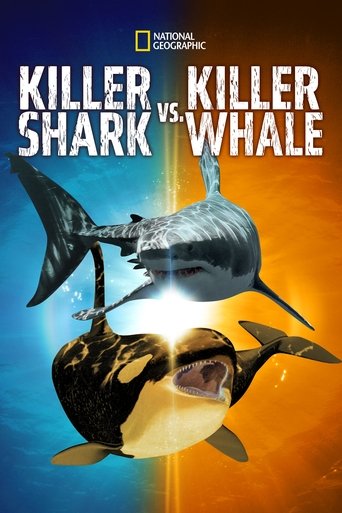 Regarder Killer Shark Vs. Killer Whale en streaming complet