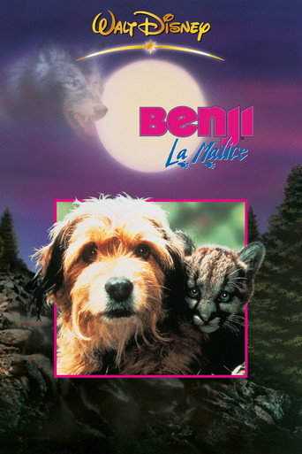 Regarder Benji la malice en streaming complet