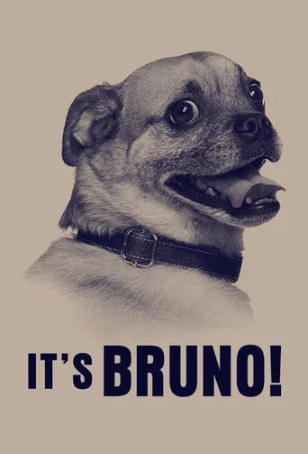 Regarder It's Bruno! en streaming complet
