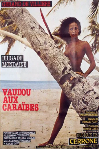 Regarder Brigade mondaine: Vaudou aux Caraïbes en streaming complet