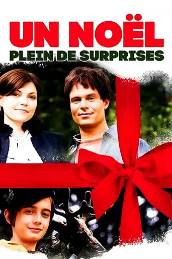 Regarder Un noël plein de surprises en streaming complet