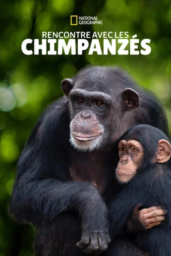 Regarder Rencontre avec les Chimpanzés en streaming complet