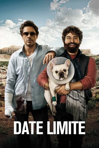 Regarder Due Date en streaming complet