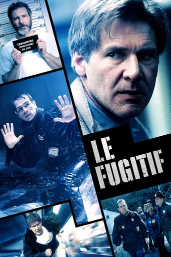 Regarder The Fugitive en streaming complet