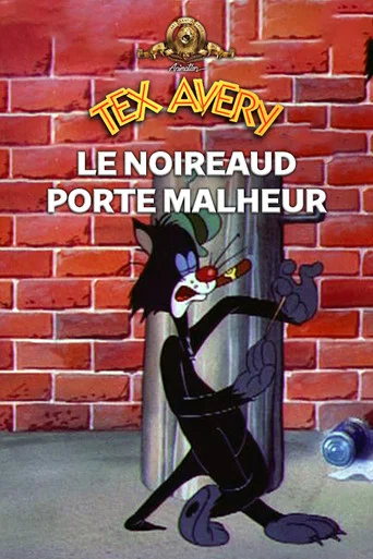 Regarder Le noireaud porte-malheur en streaming complet