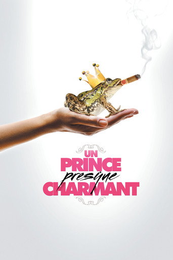 Regarder Un Prince (presque) charmant en streaming complet