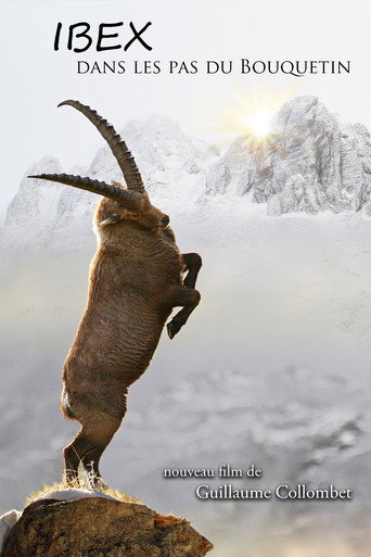 Regarder Ibex, dans les pas du bouquetin en streaming complet