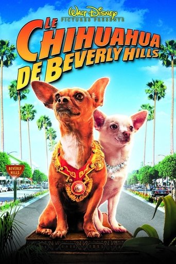 Regarder Le Chihuahua de Beverly Hills en streaming complet