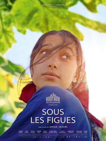 Regarder Sous les figues en streaming complet