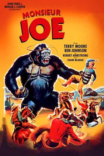 Regarder Monsieur Joe en streaming complet